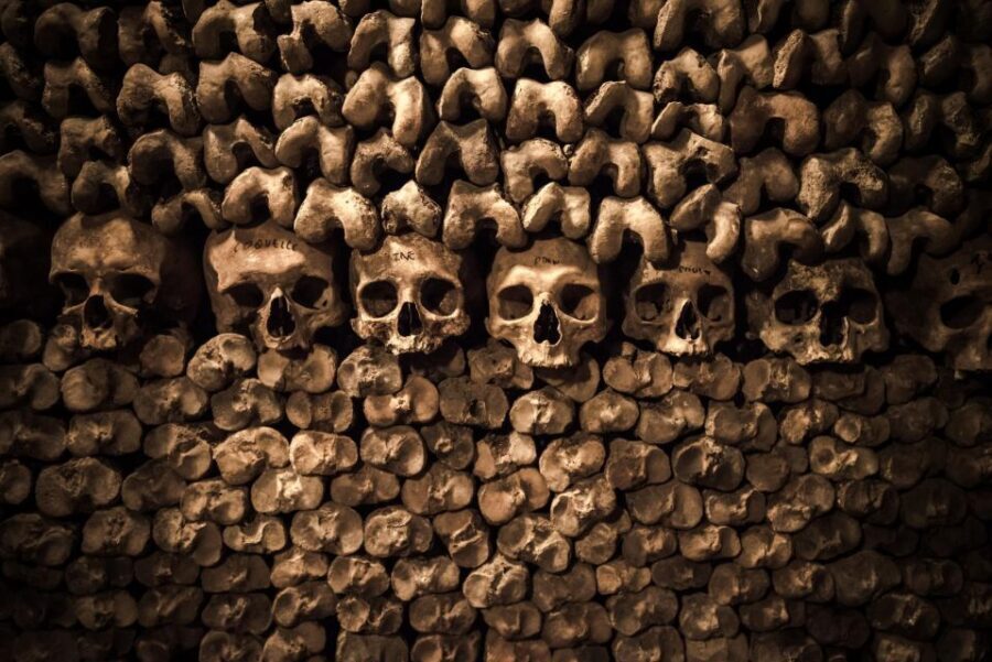 Paris: Catacombs Ticket and Seine River Cruise - Who should book this, and who should skip it