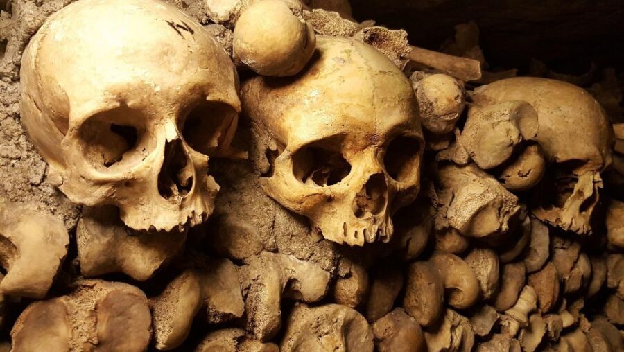 Paris: Catacombs Ticket and Seine River Cruise - Should you book the Catacombs + Seine cruise combo?