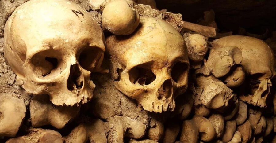 Paris: Catacombs Ticket and Seine River Cruise - The Catacombs part: timed entry, stairs, and audio that you actually use