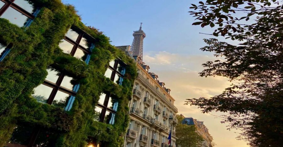 Paris: Quai Branly Museum Ticket & Optional Seine Cruise - The Seine cruise option: 1 hour of Eiffel Tower to Notre-Dame views