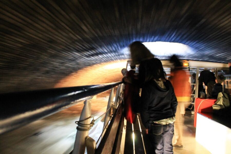 Paris: Seine River and Canal Saint-Martin Cruise - Exiting the Tunnel: Chestnut Trees, Footbridges, and the Canal’s Calm